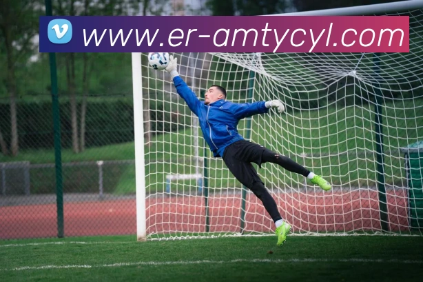 太阳城网站发展历程